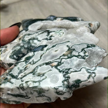 Load image into Gallery viewer, XL  Moss Agate Druzy Unicorn

