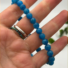Load image into Gallery viewer, Apatite - 6.5mm Bead Bracelet
