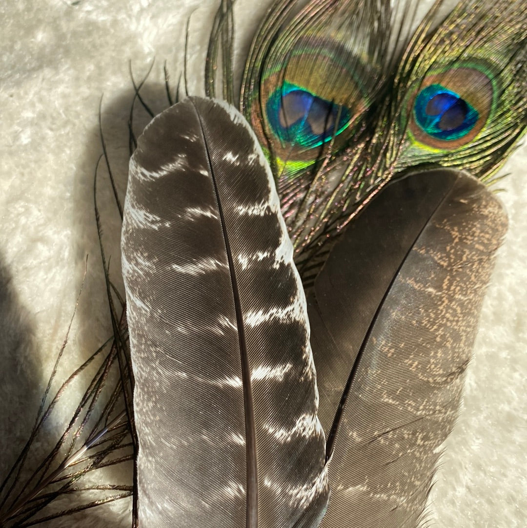 Feather for cleansing